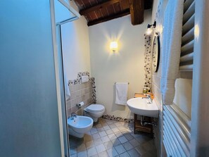 Ducha, secador de pelo, bidé y toallas