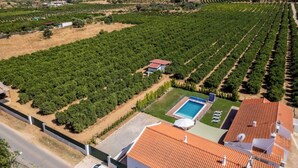 Un paisatge de vinyes amb files d'unes, una piscina i un edifici amb teulada vermella.