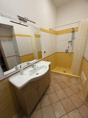 Shower, hair dryer, bidet, towels
