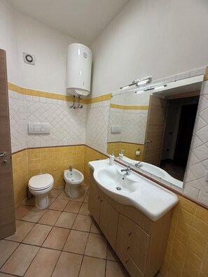 Shower, hair dryer, bidet, towels