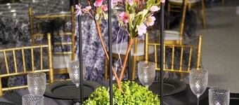 Soothing Event Space with WiFi in vibrant Dallas, Ga