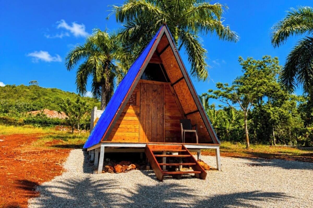 Una estructura de madera triangular con una escalera que lleva a una entrada, rodeada de palmeras y un cielo despejado.
