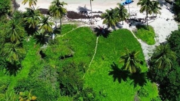 A coastal area with clear turquoise waters, a sandy beach, and lush greenery.