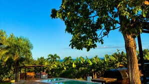 A pool area with a view of the ocean, surrounded by lush greenery and a barbecue grill.