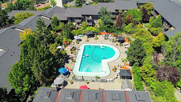 An aerial view of a residential area with a swimming pool surrounded by trees and a few houses. - Modern Home Between Seattle, Tacoma & SEA Airport (Renton)