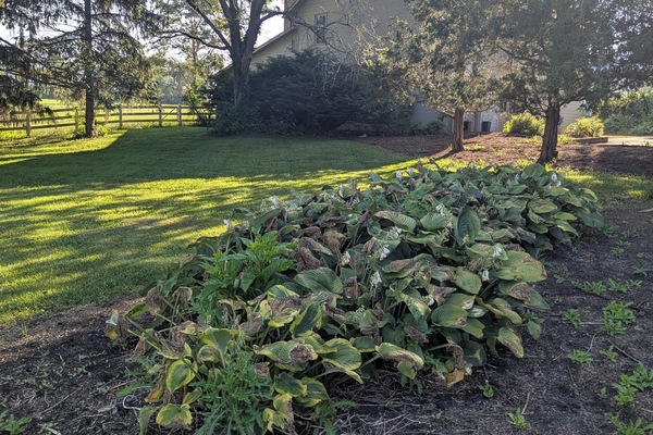 Àrea exterior de l'allotjament