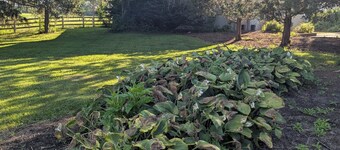 3-bedroom apartment in charming Granville less than 1 mile from Denison