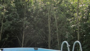 Een bovengronds zwembad met een ladder, omringd door bomen.