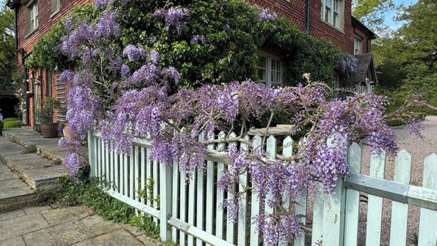 A brick house with a white picket fence and purple wisteria vines. - Stunning Rectory, 15 guests in Surrey (South Nutfield)