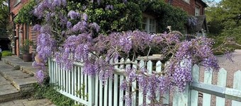 Stunning Rectory, 15 guests in Surrey