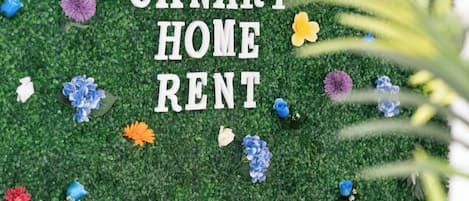 A green artificial grass wall with colorful paper flowers and the text "CANARY HOME RENT".