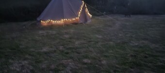Luxury Bell Tent Camping on a Welsh Hill Farm