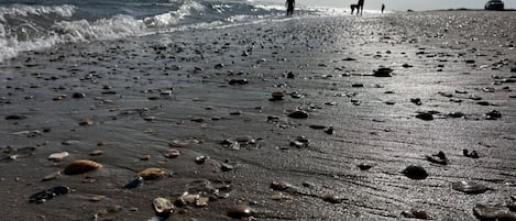 Chaises longues, serviettes de plage