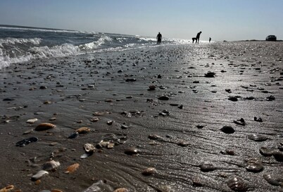 Charming 2/Bedroom Cottage Centrally in The Middle of The Island. On Back Road.