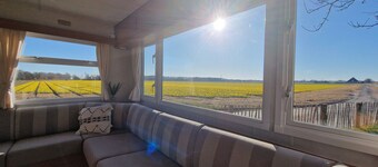 Chalet 'Como La Flor' Julianadorp Flowerfields Overview! (Airconditioning)