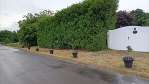 A row of potted plants along a roadside, a white building with a door, and a hedge in the background. - LE P'TIT LOGEMENT DE LOR'PHEE (CHANTEPIE)