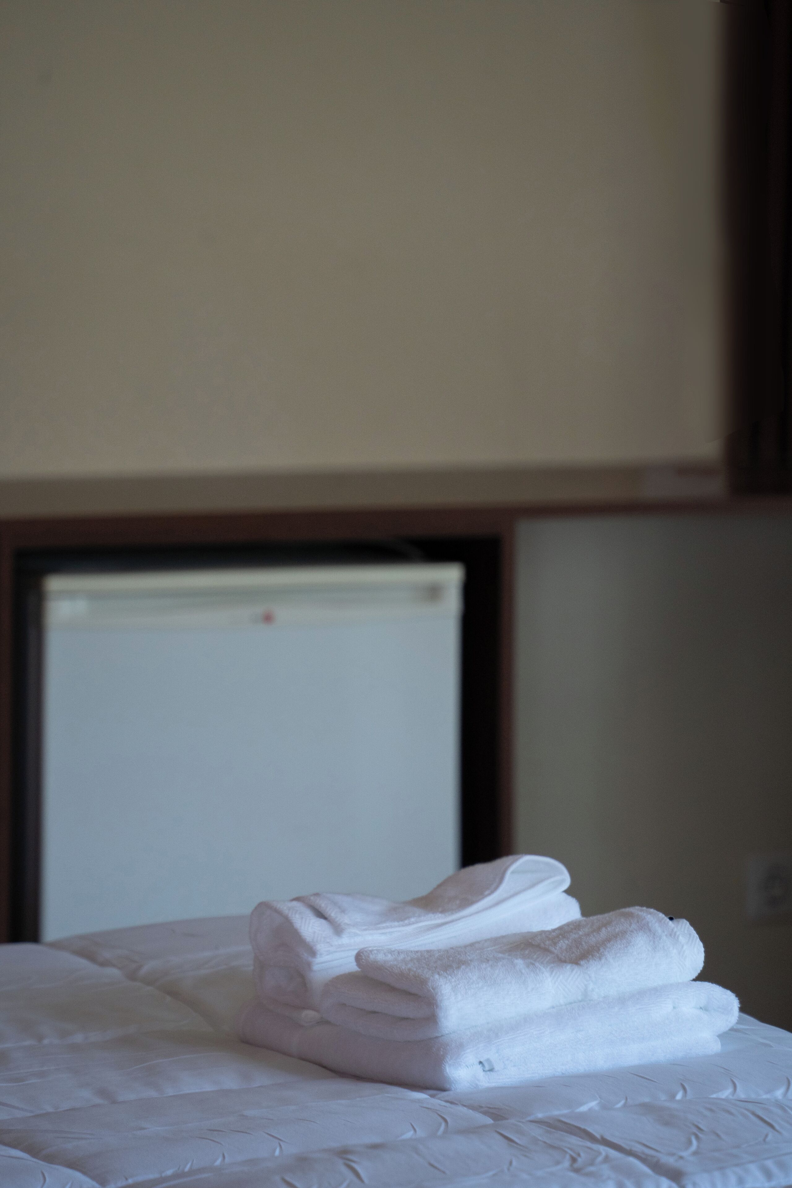 Photo - Olivet Hotel