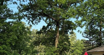 Relax & recharge at our cozy 3-bedroom cabin on beautiful Ojaski Lake