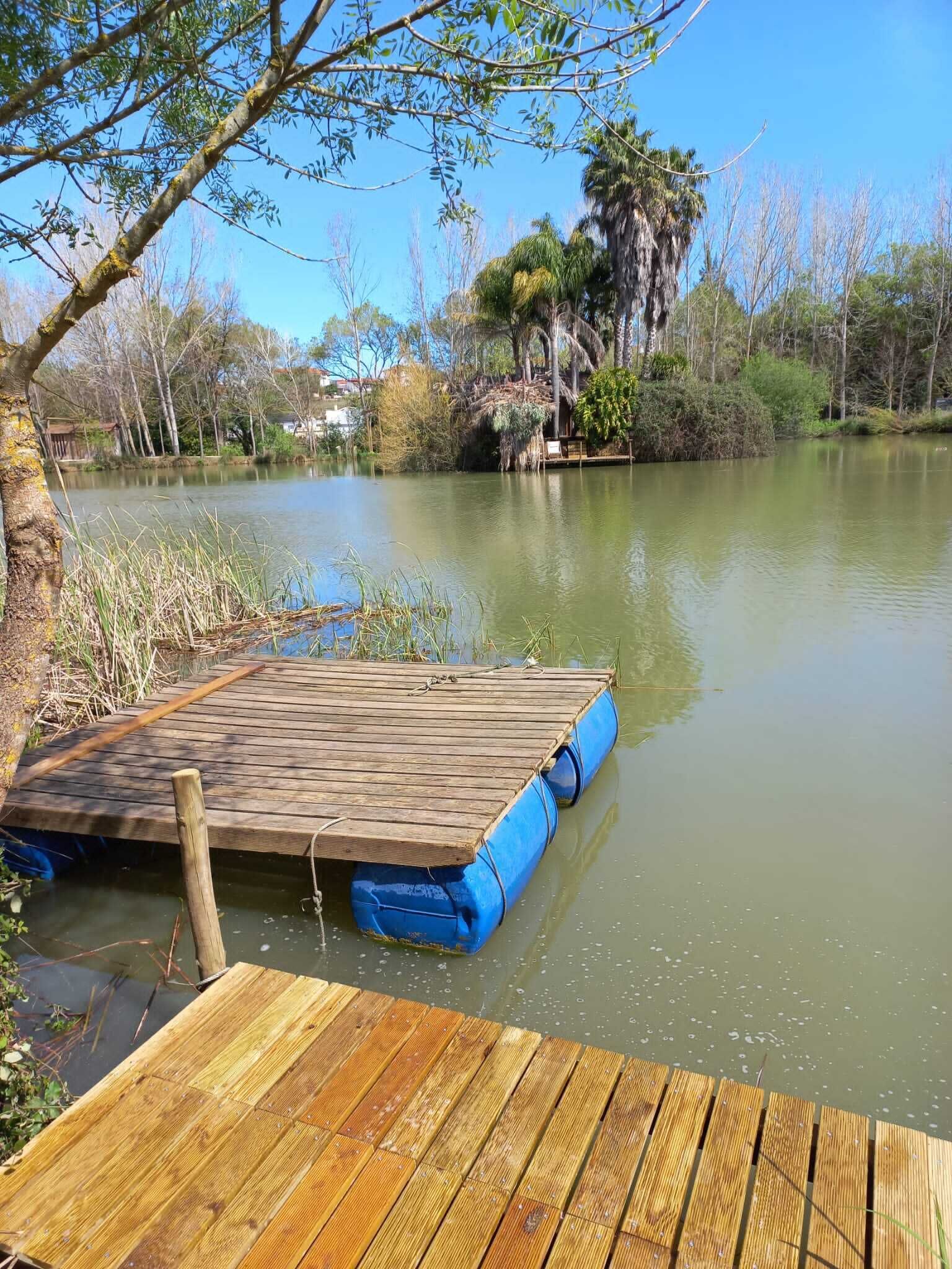 A wooden dock extending into a calm body of water, surrounded by trees and vegetation.
