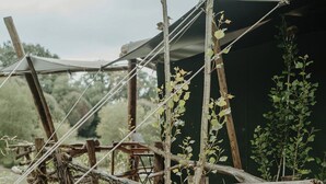 Een houten brug in rustieke stijl met een touwnet erboven, omringd door begroeiing en een houten constructie op de achtergrond.