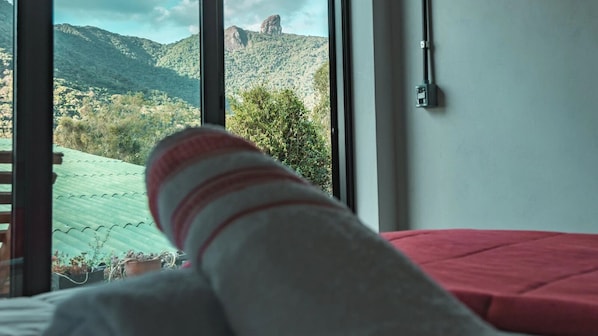 Suite, vistas a la montaña | Wifi gratis