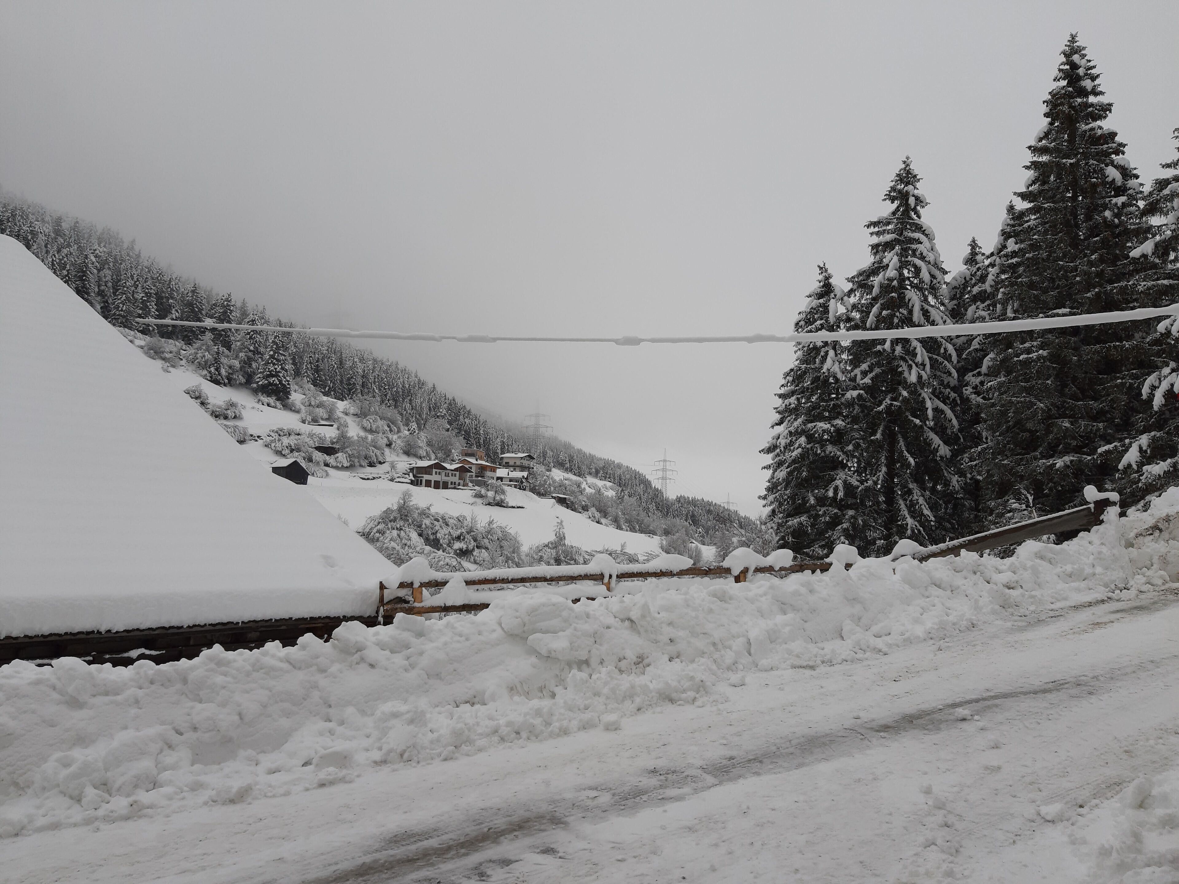 Eine verschneite Landschaft mit einem teilweise mit Schnee bedeckten Haus, umgeben von Bäumen und einer Stromleitung.