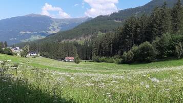 Paisaje rural con una casa rodeada por un campo de flores silvestres y un bosque denso.
