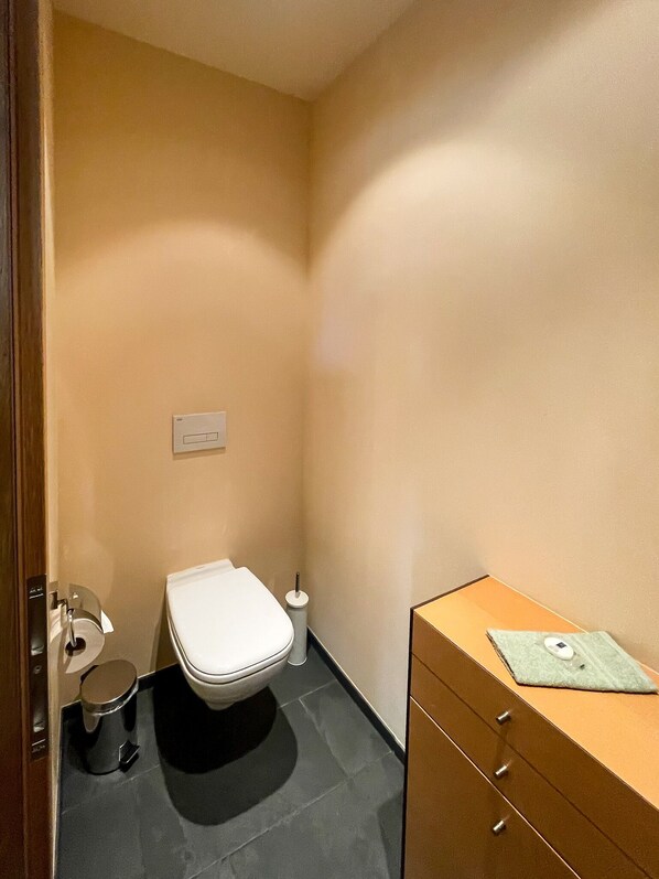 A small bathroom with a toilet, a trash bin, and a cabinet with a tissue box on top. - Apartment Waldnah (Fließ)