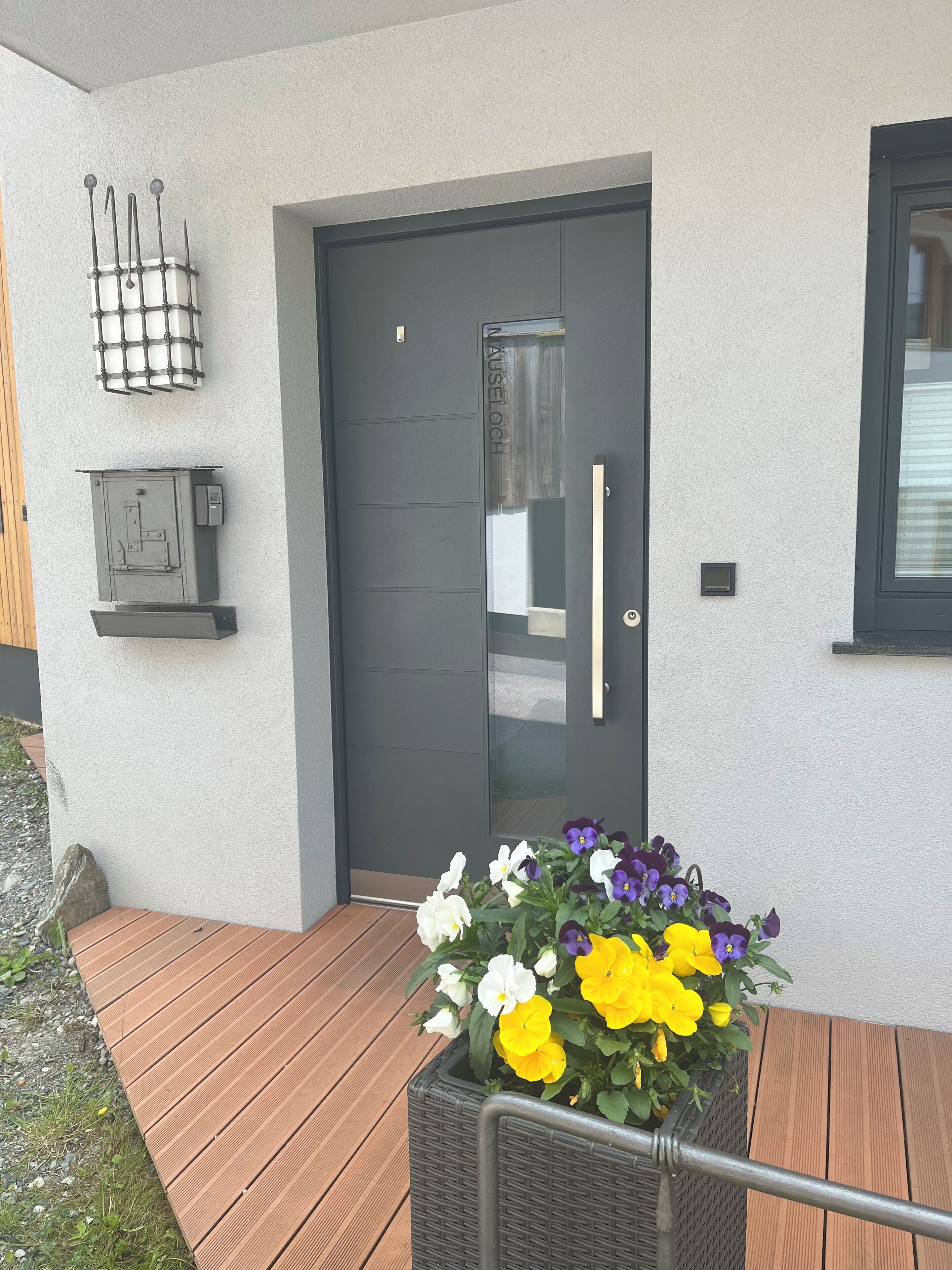A modern exterior with a dark door, a metal gate, and a planter with flowers.
