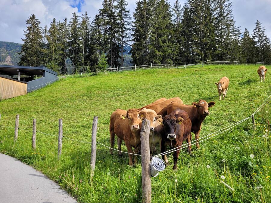 Un paisaje rural con un campo cubierto de hierba, una valla de madera y un edificio al fondo.