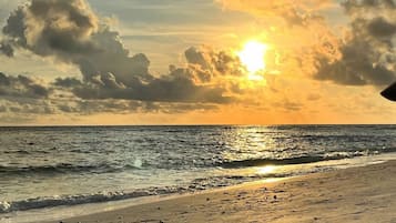 Serviettes de plage