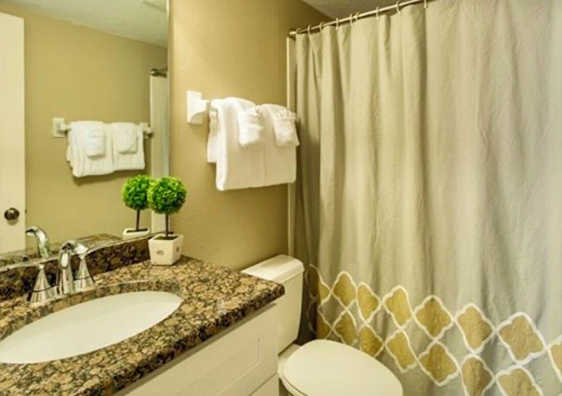 A bathroom with a granite countertop sink, a toilet, a shower curtain, and a small potted plant.