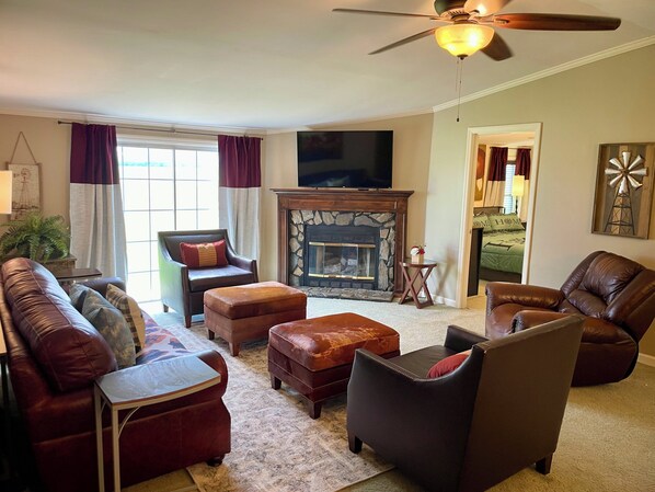 Smart TV, fireplace, books