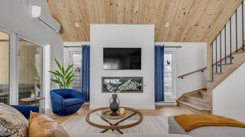 Télévision, cheminée, espaces bureaux