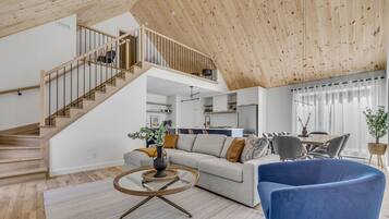 Télévision, cheminée, espaces bureaux