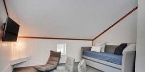 TV, fireplace, books