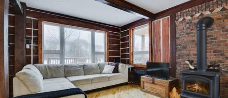 电视、壁炉、书