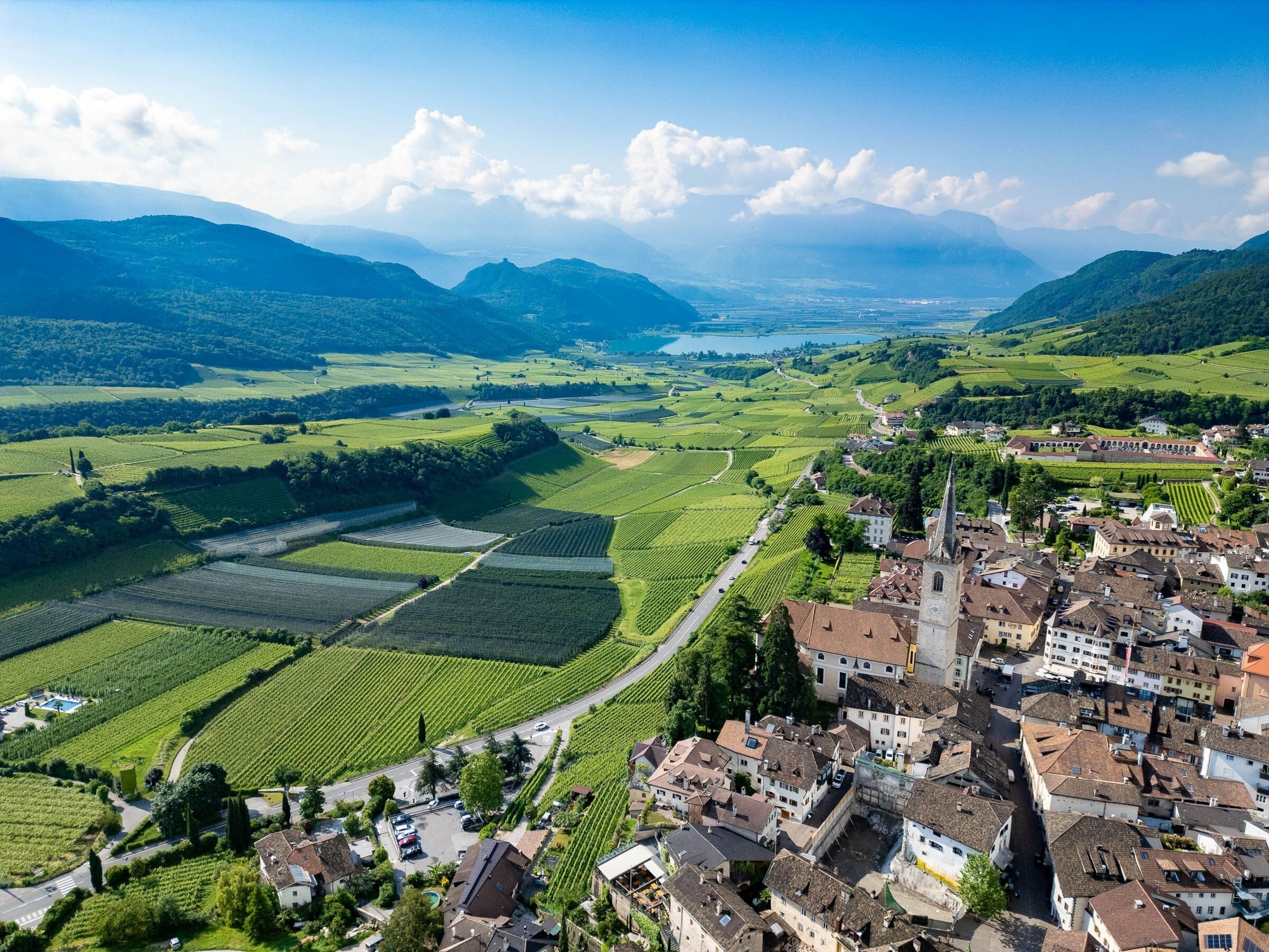 A town with vineyards, a river, and a castle-like building.