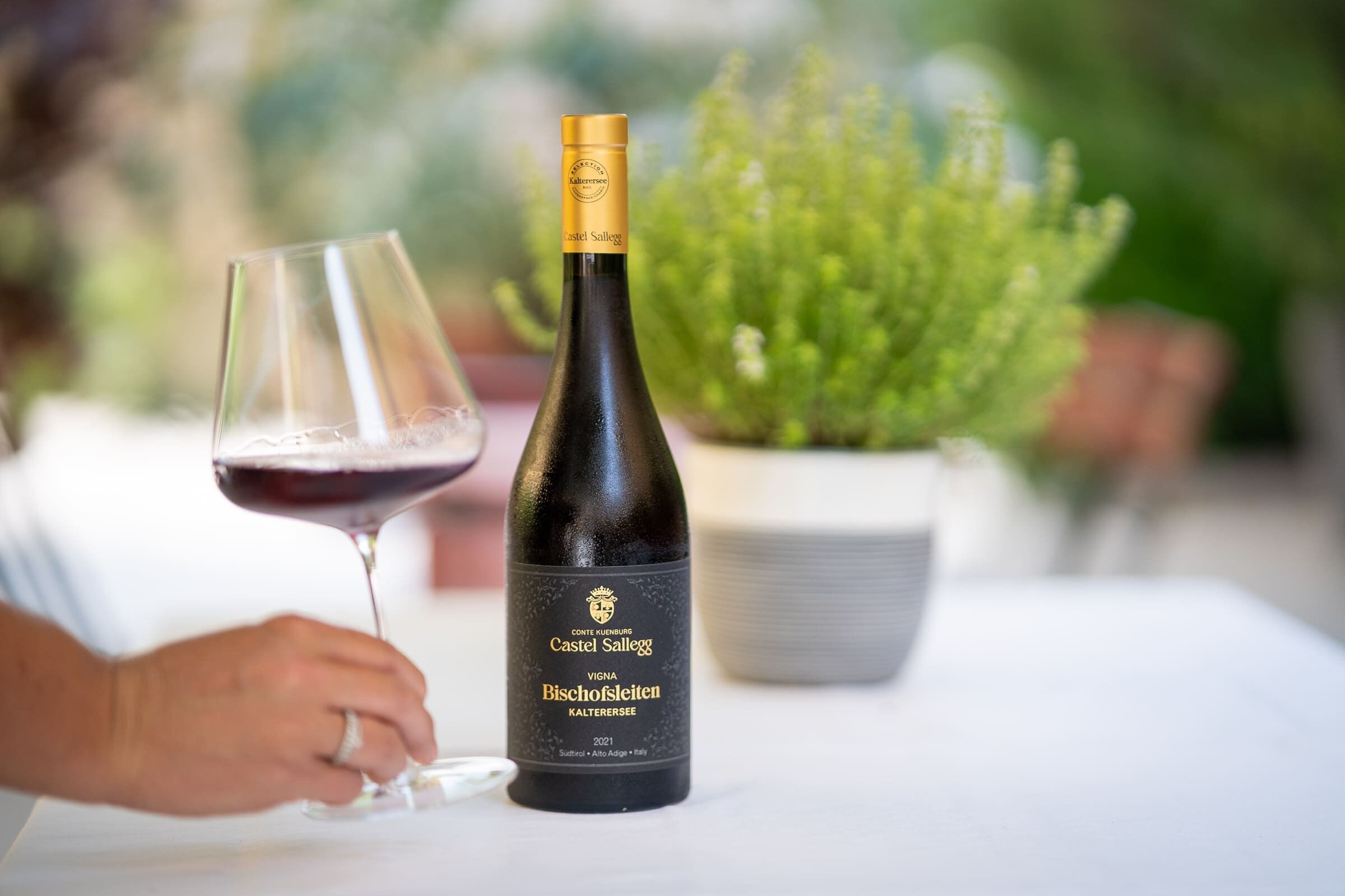 Une bouteille de vin Castel Salleg et un verre de vin rouge sont posés sur une table, avec une plante en pot en arrière-plan.