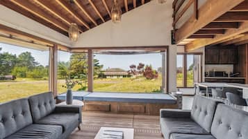 Smart TV, chimenea y libros
