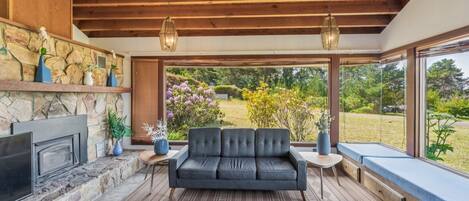 Smart TV, chimenea, libros