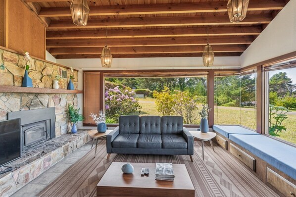 TV connectée, cheminée, livres