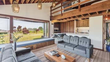 Smart TV, chimenea y libros