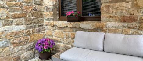 المنطقة المحيطة بالمنشأة