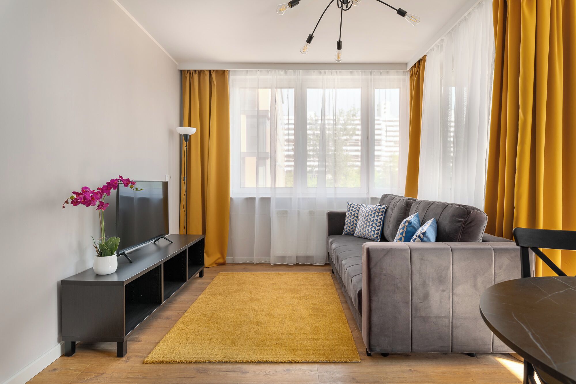 經典公寓, 陽台 | 起居區