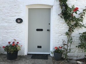 Exterior detail - Trevean (Bude)