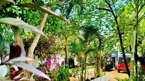 A pathway lined with potted plants and trees, leading to a parked vehicle.