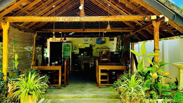 A rustic wooden structure with a pitched roof, a concrete floor, and potted plants around.