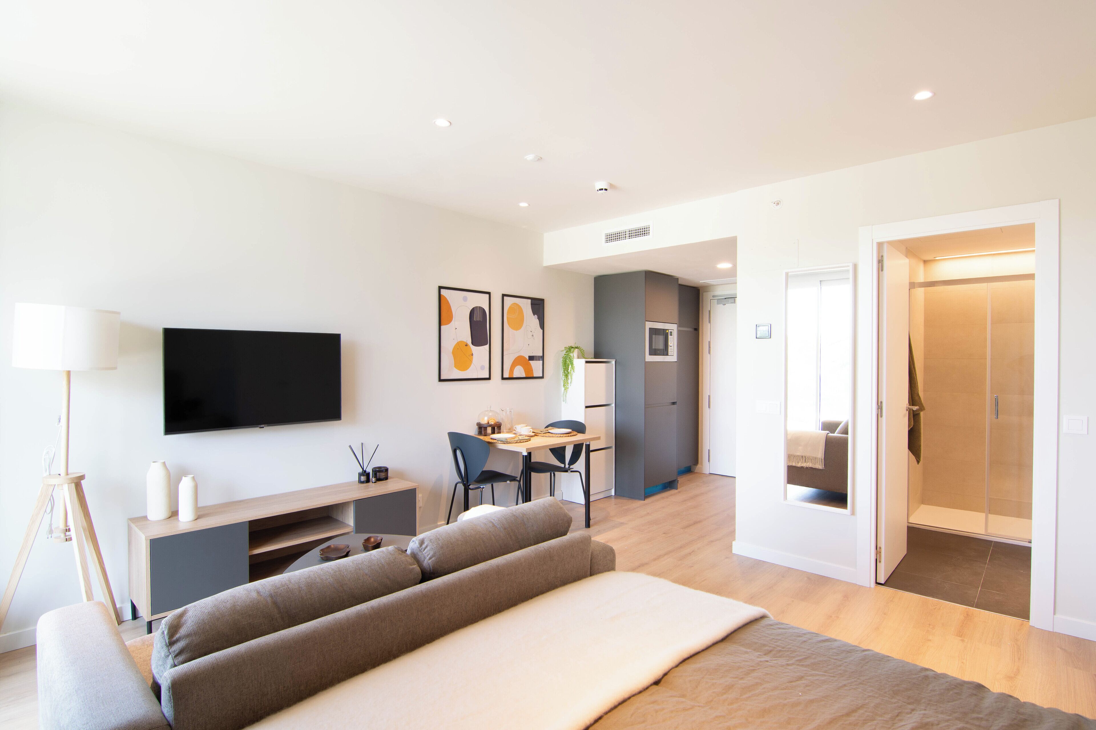 A modern hotel room with a sofa, a TV, a desk, and a shower area.
