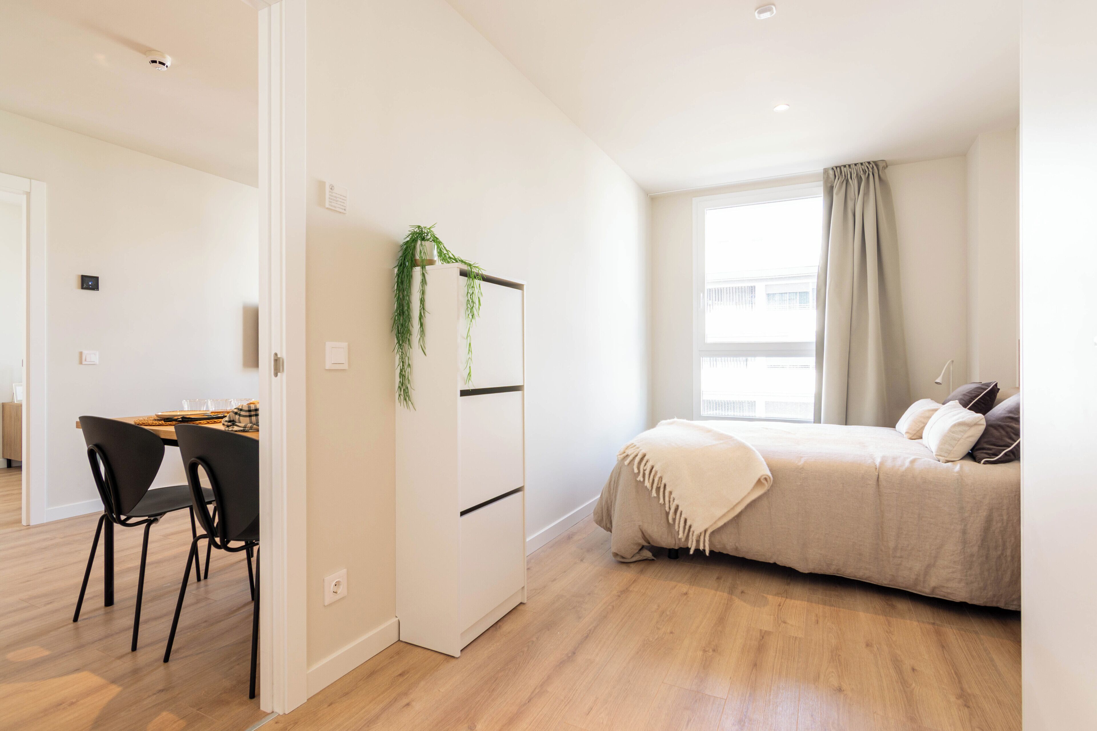 Un dormitorio moderno con una cama, un escritorio con sillas y una planta pequeña.